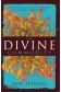 The Divine Commodity: Discovering A Faith Beyond Consumer Christianity